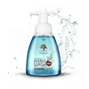 /product-detail/liquid-hand-wash-herbal-raw-material-liquid-soap-foaming-with-pump-62002365760.html