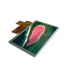5 inch TFT LCD Screen Display Resolution 800x480 pixels module
