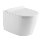 Hot selling sanitary ware bathroom wall-hung toilet/ wall hanging toilet (BSJ-T077)