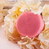 Best seller 2019 cleansing system facial brush reviews proactive face beauty & personal care