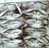 /product-detail/frozen-blue-swimming-crab-cut-crab-crab-meat-60719394158.html