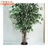 /product-detail/artificial-ficus-bonsai-ficus-retusa-bonsai-customized-ficus-shape-60251089379.html