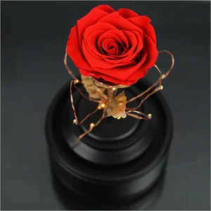 gifts & crafts box preserved flower music box 174 products found