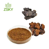 Super Quality Chaga Mushroom Extract With