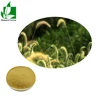 High quality horsetail p.e, horsetail grass extract, with 7% organic silicon