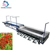 /product-detail/fruit-cleaning-waxing-sorting-machine-fruit-classifier-olive-cherry-tomato-picker-sorter-grader-machine-60781493879.html
