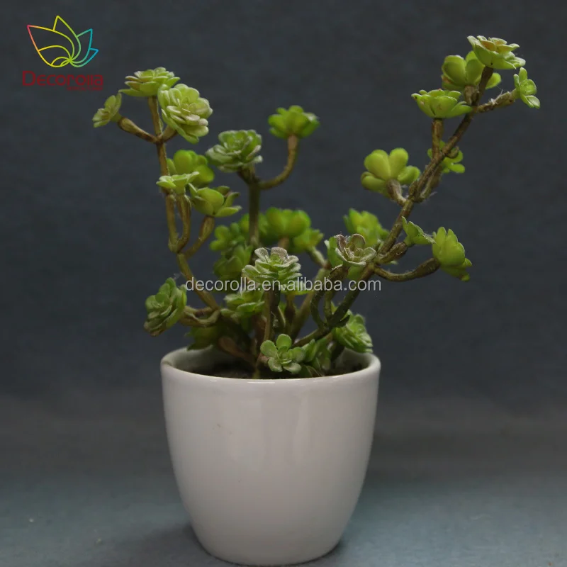 Cfake Shrubs, Cfake Shrubs Suppliers and Ma