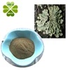 high quality beard lichen extract Iceland Moss Extract with usnic acid