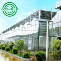 OCEAN BLUE Tropical Low Cost Agriculture