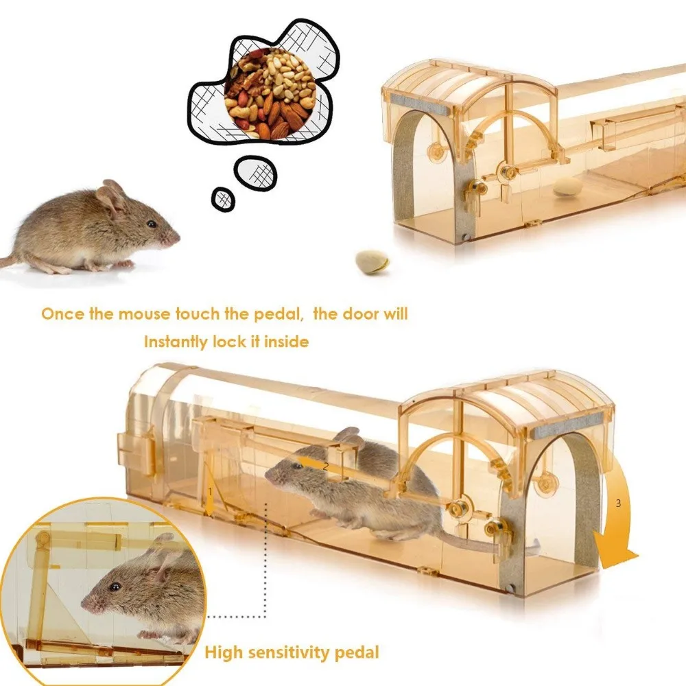  How to Attract Mice to Traps: Effective Strategies for a Mouse-Free Home