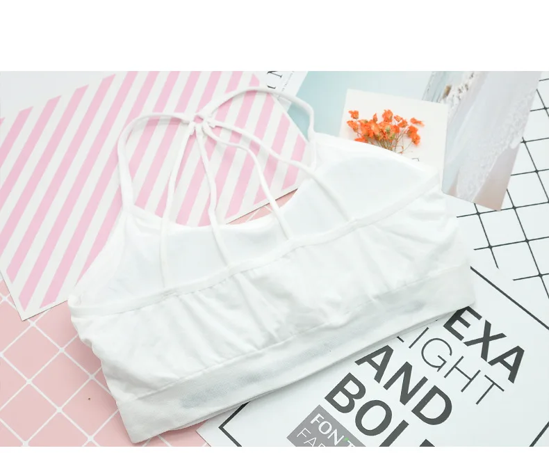 3937905677_1176988226