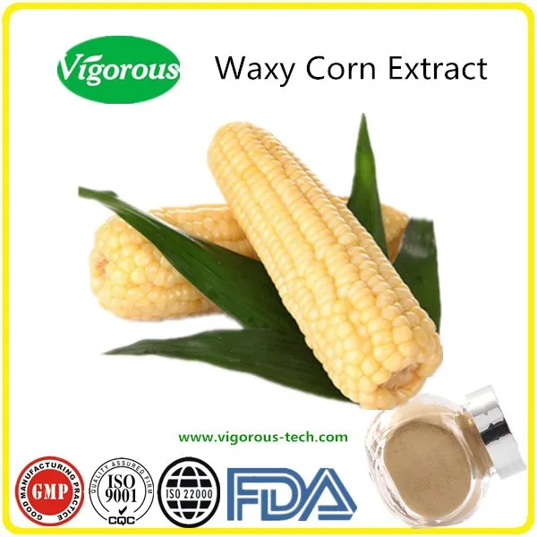 100% natural waxy corn extract/waxy corn powder/ free samples