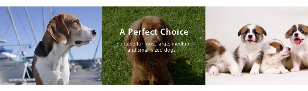 20171201164718_25441