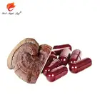 Anoxidant Red Reishi Lingzhi Extract 1000mg Soft gels Capsules
