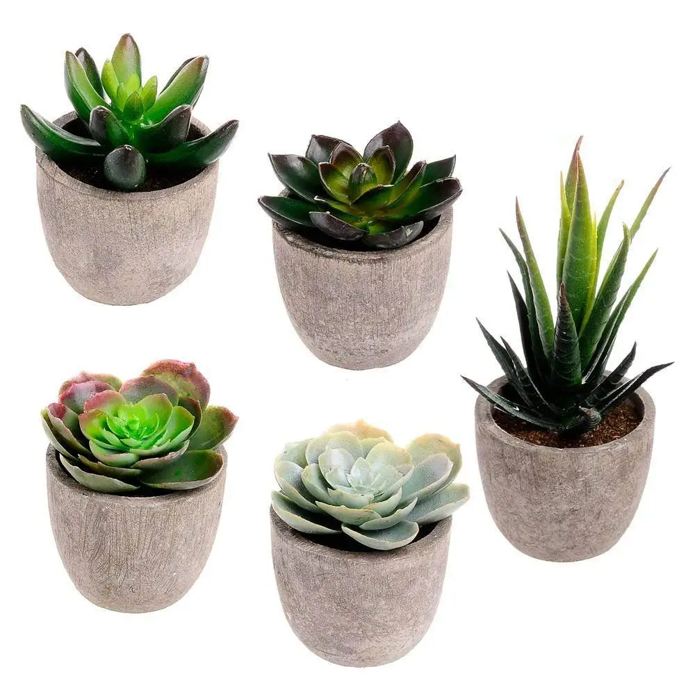 Verschiedene Dekorative Faux Sukkulenten Künstliche Sukkulenten Kaktus Gefälschte air Pflanzen mit Grau Töpfe, Set von 5
