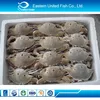 Chinese Frozen Hot-Selling Three Spot Crab From China