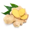 export ginger p.e from china