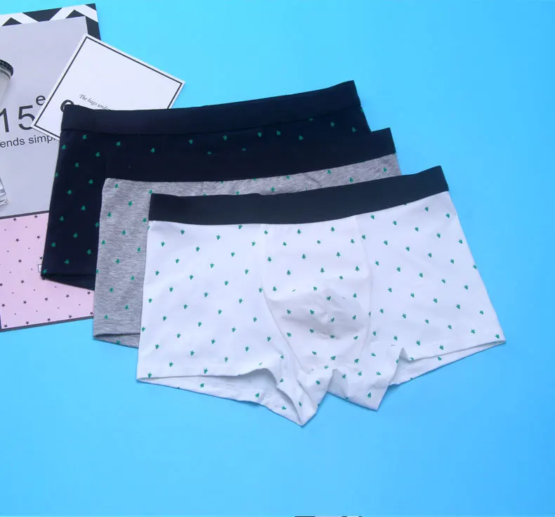 4729922319_686008313