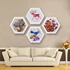 Creative Hexagonal Wall Mounted Wood Picture Frame