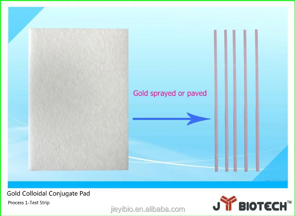 Ahlstrom 8964 (Glass fiber membrane) rapid test paper JYBX101, View