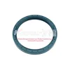 1602361 hub oil seal for DAF truck parts