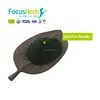 /product-detail/focusherb-organic-spirulina-powder-60456395185.html