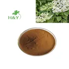 Herbal Extract Enhancer Elderberry Powder Sambucus Nigra Powder Extract 10:1 Elderberry Extract Nutrient Enhancer