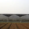 /product-detail/economical-tropical-frame-material-one-layer-greenhouse-with-glass-covering-for-agriculture-60639974218.html