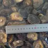 /product-detail/cultivated-brown-magic-mushrooms-dried-for-sale-60503692889.html