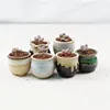 Creative Ornaments Ceramic Crafts Mini Succulent Plants Flower Pots