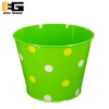 Round Green Fruitful Printing with Little Flower Pot