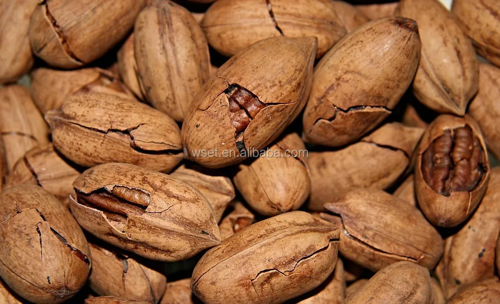>=10000 metric tons  uses   salted pecans can be used as a snack