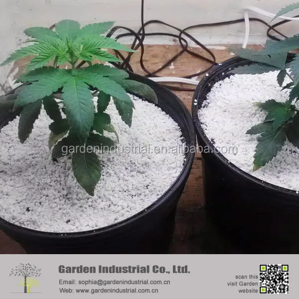 Expanded Perlite for Growing Tower Price