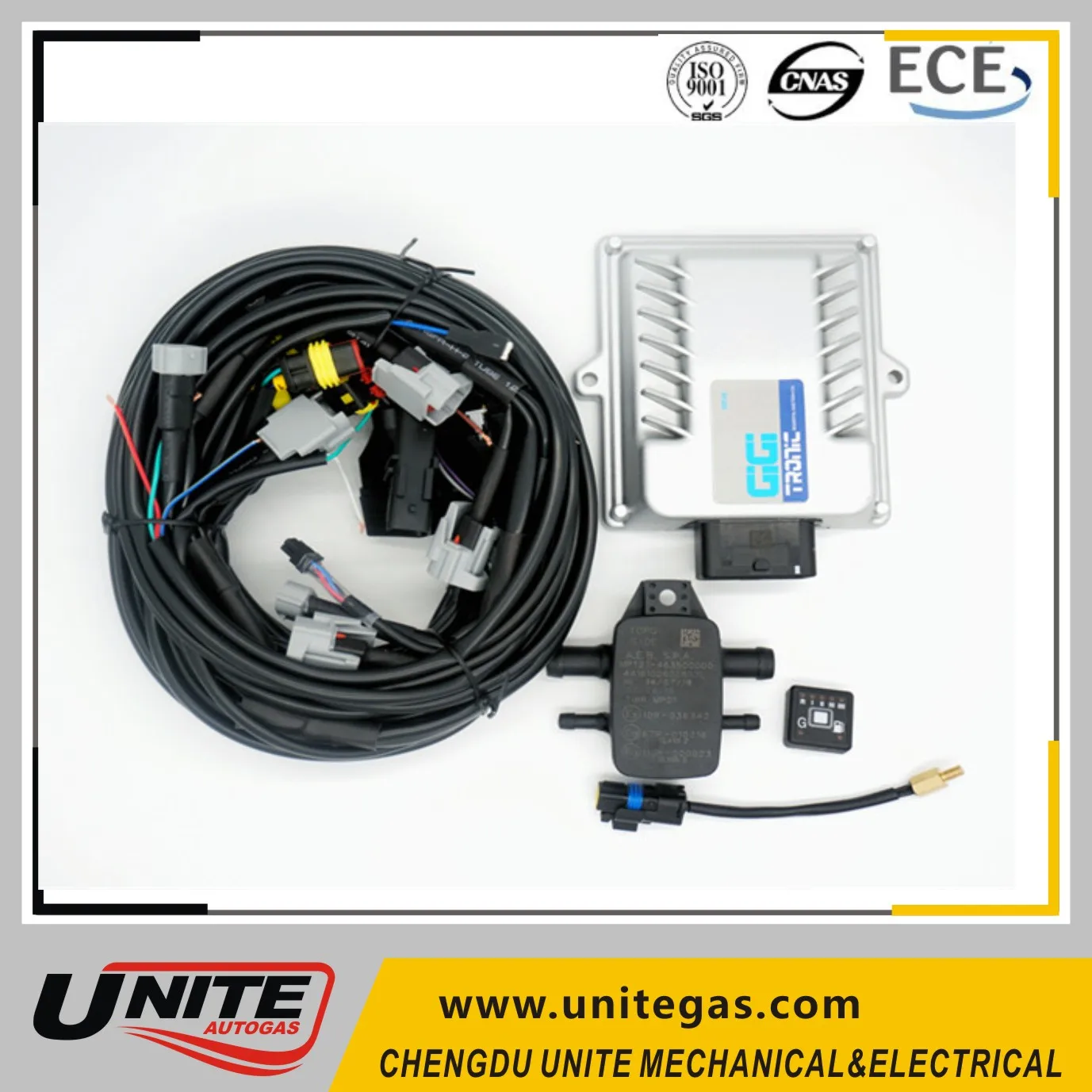 Cng Lpg Ecu Conversion Kit Cng Kit Parts For Cylinder Engine Cng Kit