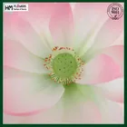 fake lotus fresh touch flower artificial