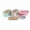 Wheat Straw reusable food container Lunch Box Microwave Heated storage Double layer food Bento take away Lunch Box with Lid