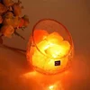 Natural Pink Rock Crystal Himalayan Salt LED Lamp Glass Shade Salt Lamps with Dimmable Switch