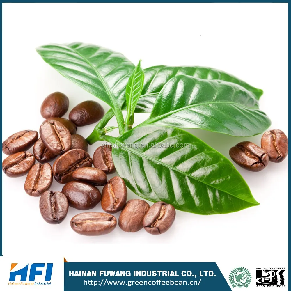 Chinese yunnan organic coffee bean retail seller