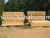 /product-detail/timber-poplar-beams-and-planks-111779321.html