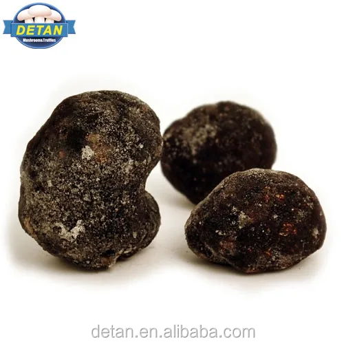 Detan Frozen Wild Tuber Uncinatum Black Truffles Market Prices for Mushroom Buyers