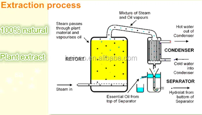 steam-distillation