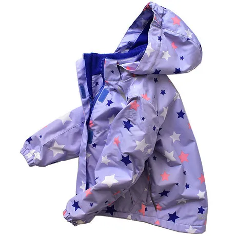 4365859074_105418644.460x460xz