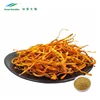 /product-detail/2019-goden-chinese-factory-supply-cordyceps-militaris-extract-polysaccharides-10-50--62130161360.html