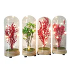 2019 birthday party decorations Festival gift Stuff