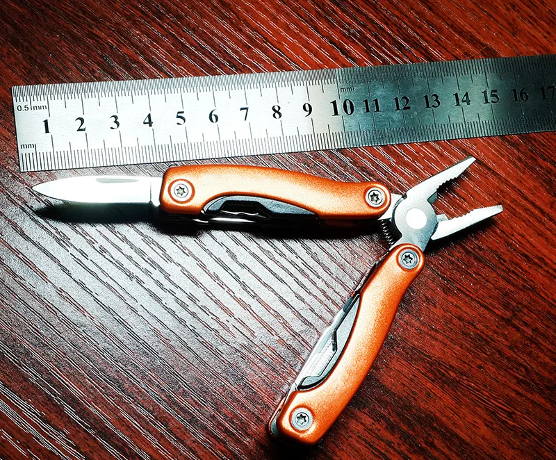 4544743411_102134349