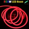 RGBW full color change led flex neon