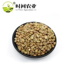 Green coffee beans new robusta coffee from Vietnam