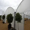 /product-detail/skyplant-low-cost-multispan-tunnel-greenhouse-for-flower-and-vegetables-60712302162.html