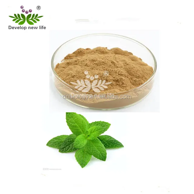 bulk natural dried mint leaves,peppermint leaf,peppermint leaf