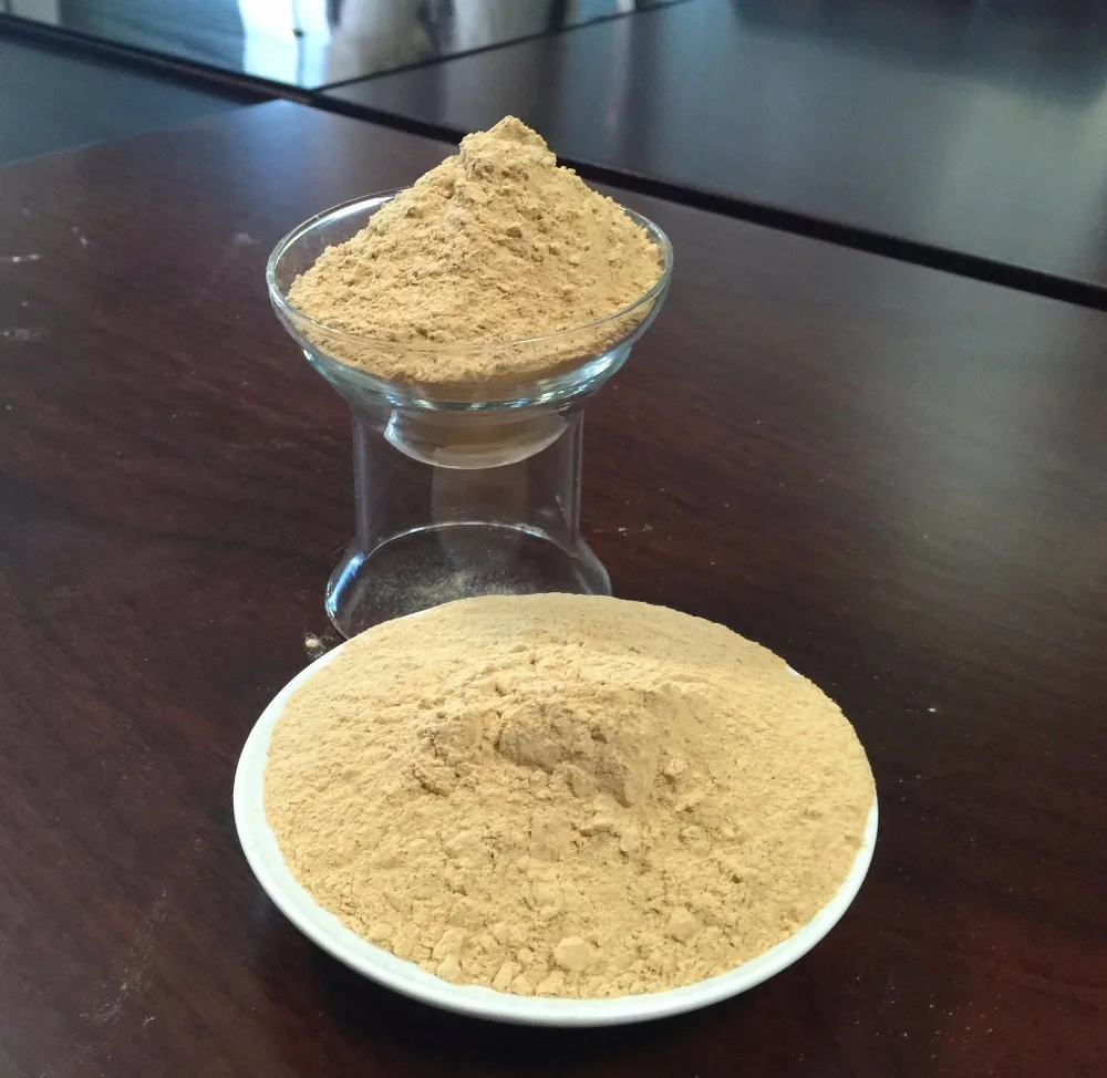 swine probiotic acidophilus supplements digestive system in livestock farm